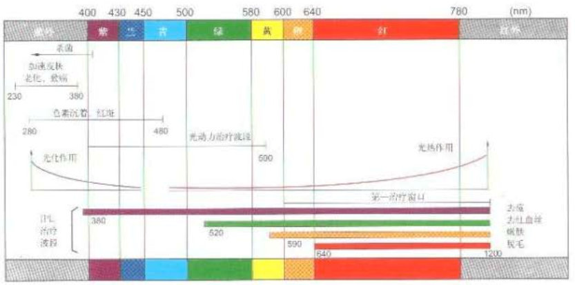 光子各種波長對皮膚的影響