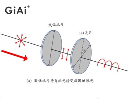 圓偏振光