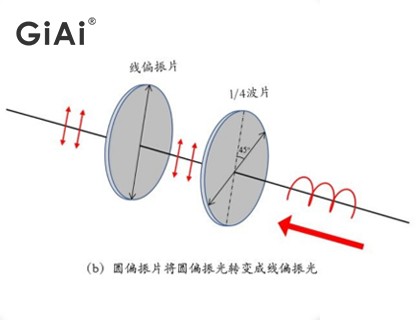 線偏振光