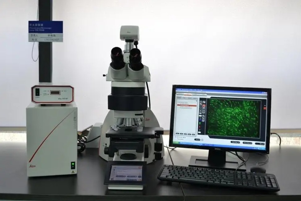 熒光顯微鏡的使用注意事項、維護和保養(yǎng)