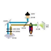 什么是熒光定量PCR、數字PCR？