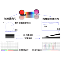 線性漸變?yōu)V光片是什么？有何特點(diǎn)？